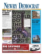 newrydemocrat